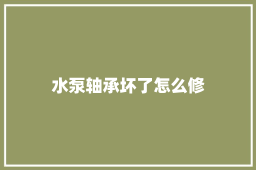 水泵轴承坏了怎么修