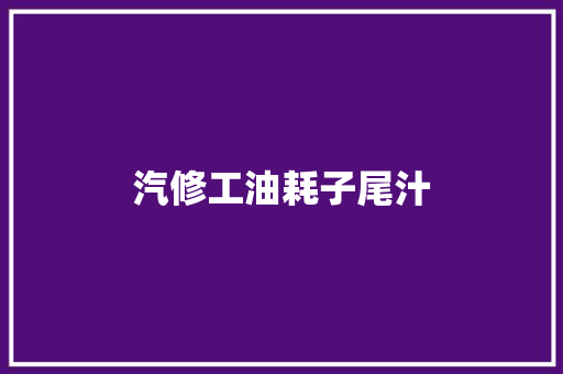 汽修工油耗子尾汁