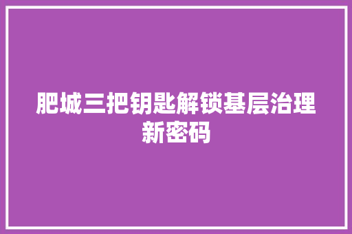 肥城三把钥匙解锁基层治理新密码