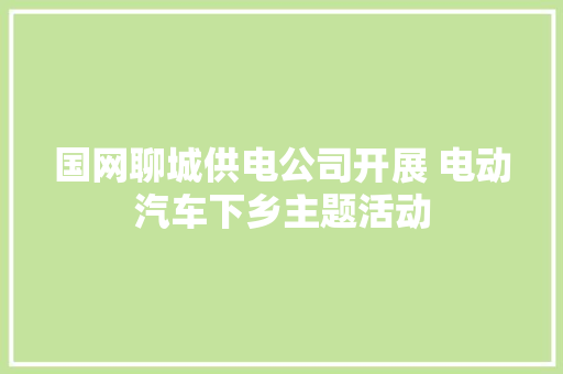国网聊城供电公司开展 电动汽车下乡主题活动