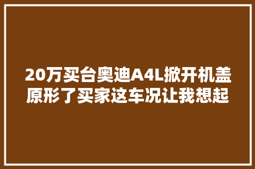 20万买台奥迪A4L掀开机盖原形了买家这车况让我想起了她