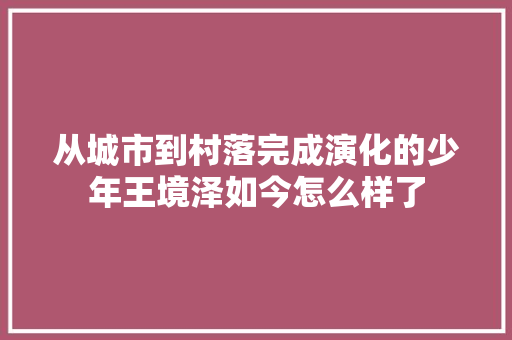 从城市到村落完成演化的少年王境泽如今怎么样了