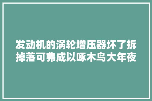 发动机的涡轮增压器坏了拆掉落可弗成以啄木鸟大年夜师
