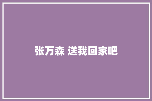 张万森 送我回家吧