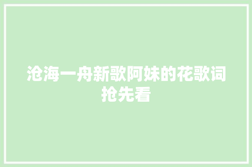 沧海一舟新歌阿妹的花歌词抢先看
