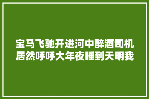 宝马飞驰开进河中醉酒司机居然呼呼大年夜睡到天明我叫代驾了啊
