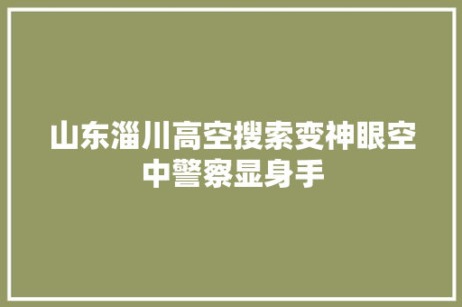 山东淄川高空搜索变神眼空中警察显身手