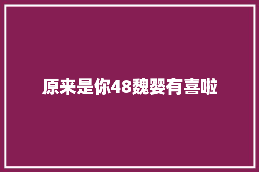 原来是你48魏婴有喜啦