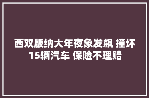 西双版纳大年夜象发飙 撞坏15辆汽车 保险不理赔