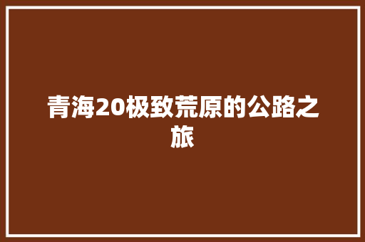青海20极致荒原的公路之旅