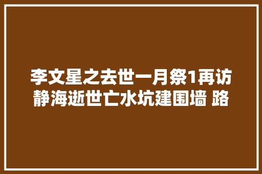 李文星之去世一月祭1再访静海逝世亡水坑建围墙 路边挂打传标语