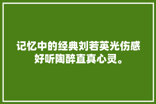 记忆中的经典刘若英光伤感好听陶醉直真心灵。