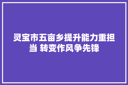 灵宝市五亩乡提升能力重担当 转变作风争先锋