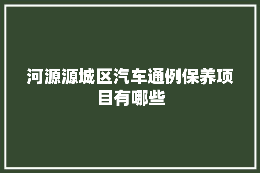 河源源城区汽车通例保养项目有哪些