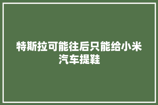 特斯拉可能往后只能给小米汽车提鞋