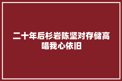 二十年后杉岩陈坚对存储高唱我心依旧