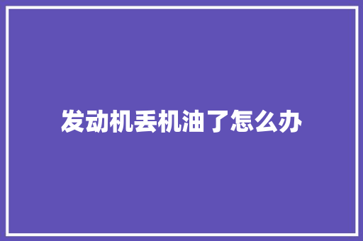 发动机丢机油了怎么办