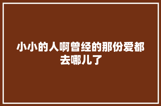 小小的人啊曾经的那份爱都去哪儿了