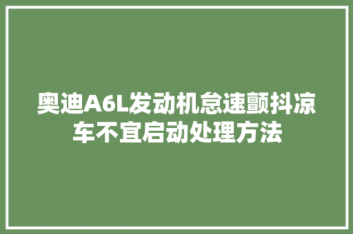 奥迪A6L发动机怠速颤抖凉车不宜启动处理方法