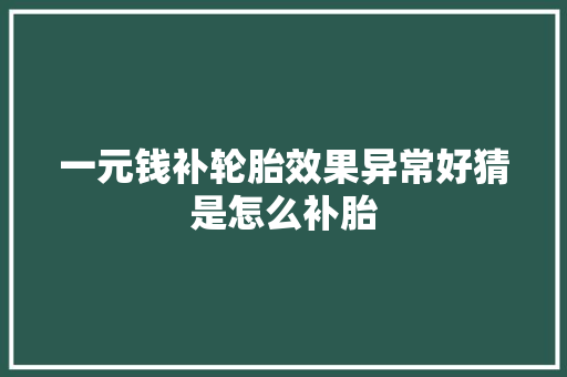 一元钱补轮胎效果异常好猜是怎么补胎