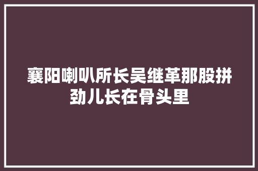 襄阳喇叭所长吴继革那股拼劲儿长在骨头里