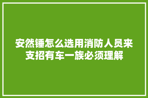 安然锤怎么选用消防人员来支招有车一族必须理解