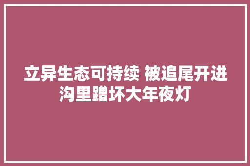 立异生态可持续 被追尾开进沟里蹭坏大年夜灯