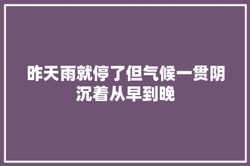 昨天雨就停了但气候一贯阴沉着从早到晚