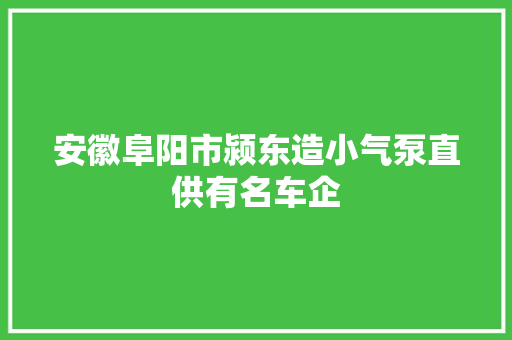 安徽阜阳市颍东造小气泵直供有名车企