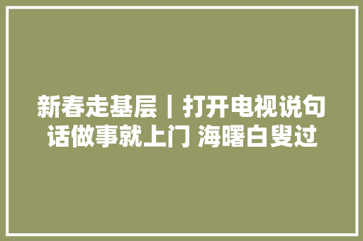 新春走基层｜打开电视说句话做事就上门 海曙白叟过上聪慧生活
