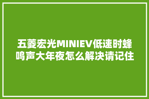 五菱宏光MINIEV低速时蜂鸣声大年夜怎么解决请记住这三种方法