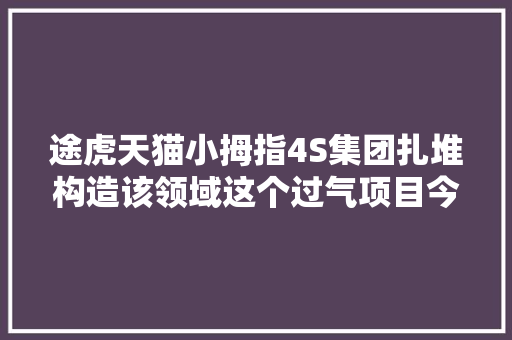 途虎天猫小拇指4S集团扎堆构造该领域这个过气项目今年又火了