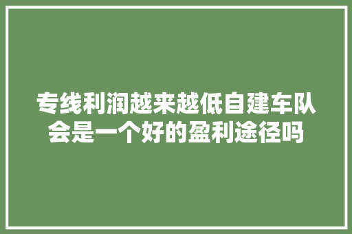 专线利润越来越低自建车队会是一个好的盈利途径吗