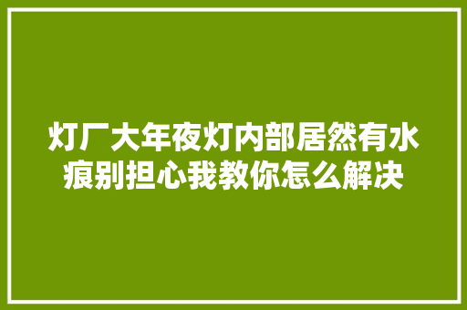 灯厂大年夜灯内部居然有水痕别担心我教你怎么解决