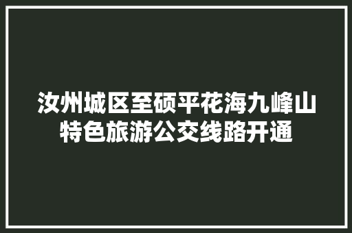 汝州城区至硕平花海九峰山特色旅游公交线路开通