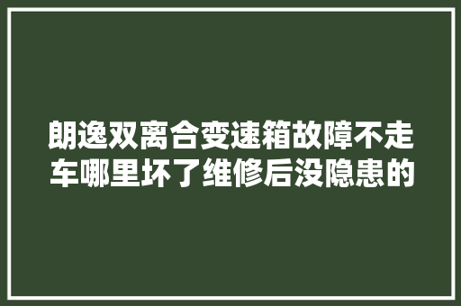 朗逸双离合变速箱故障不走车哪里坏了维修后没隐患的好办法