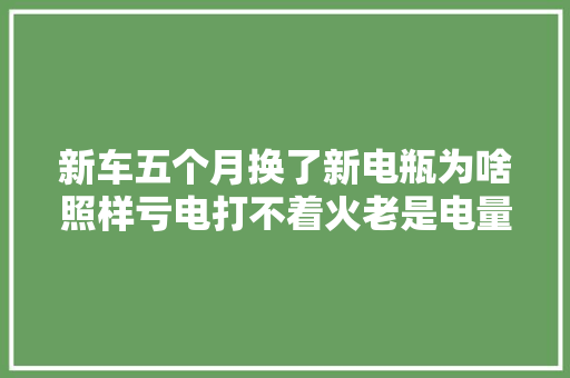 新车五个月换了新电瓶为啥照样亏电打不着火老是电量不足